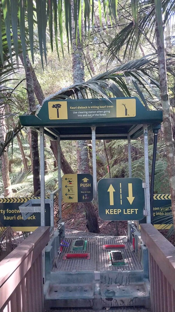 카우리 고사병(Kauri dieback) 확산을 막기 위해 등산로 입구에 설치된 등산화 청소시설물. 사진= 김형진